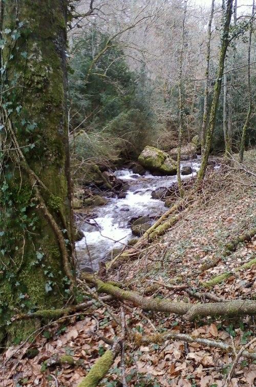 Gite De Charme Auvergne Cab'Ane Brousse Luaran gambar